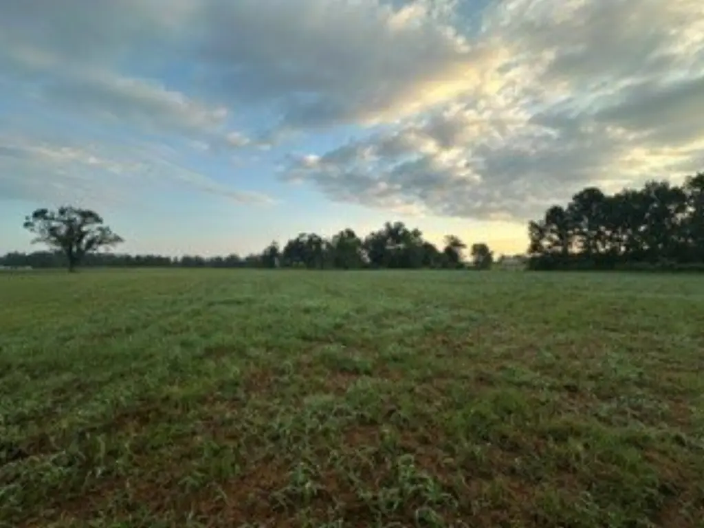 Picture 17