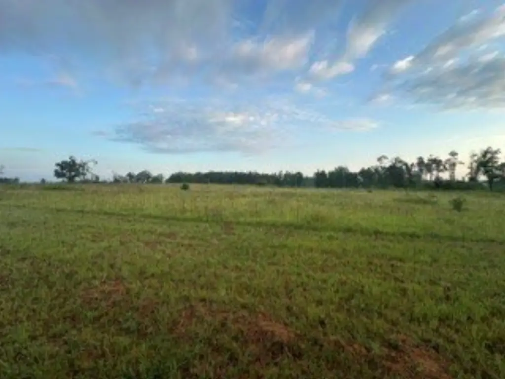 Picture 22