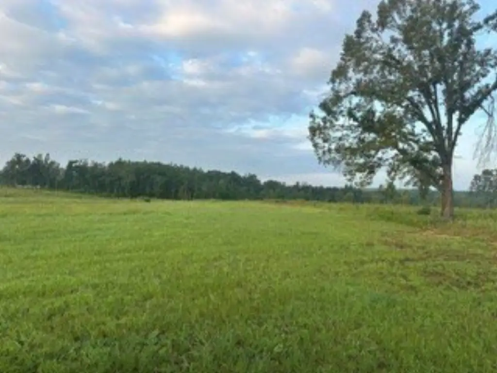 Picture 18