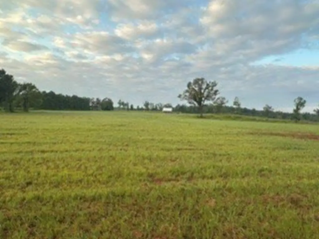 Picture 24