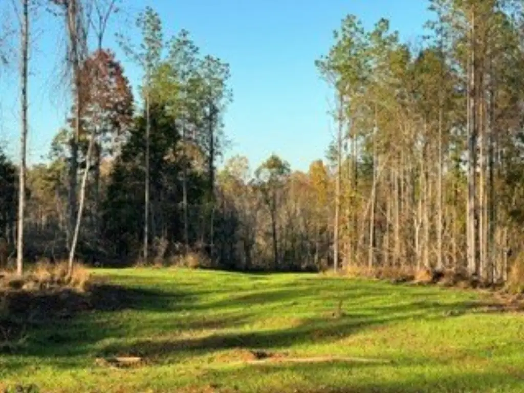 Picture 13