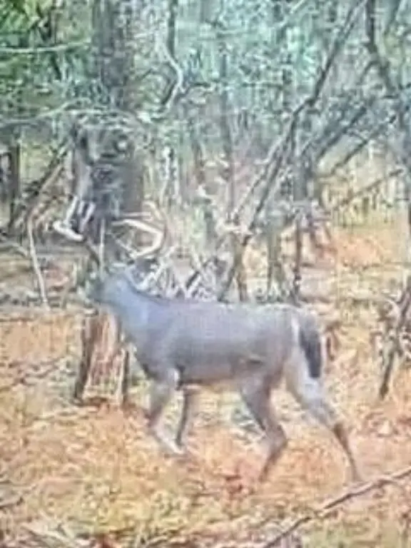 Picture 10