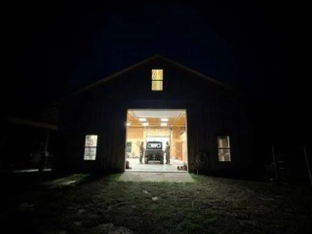 Picture 7