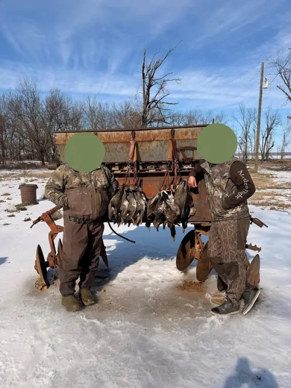 Picture 38