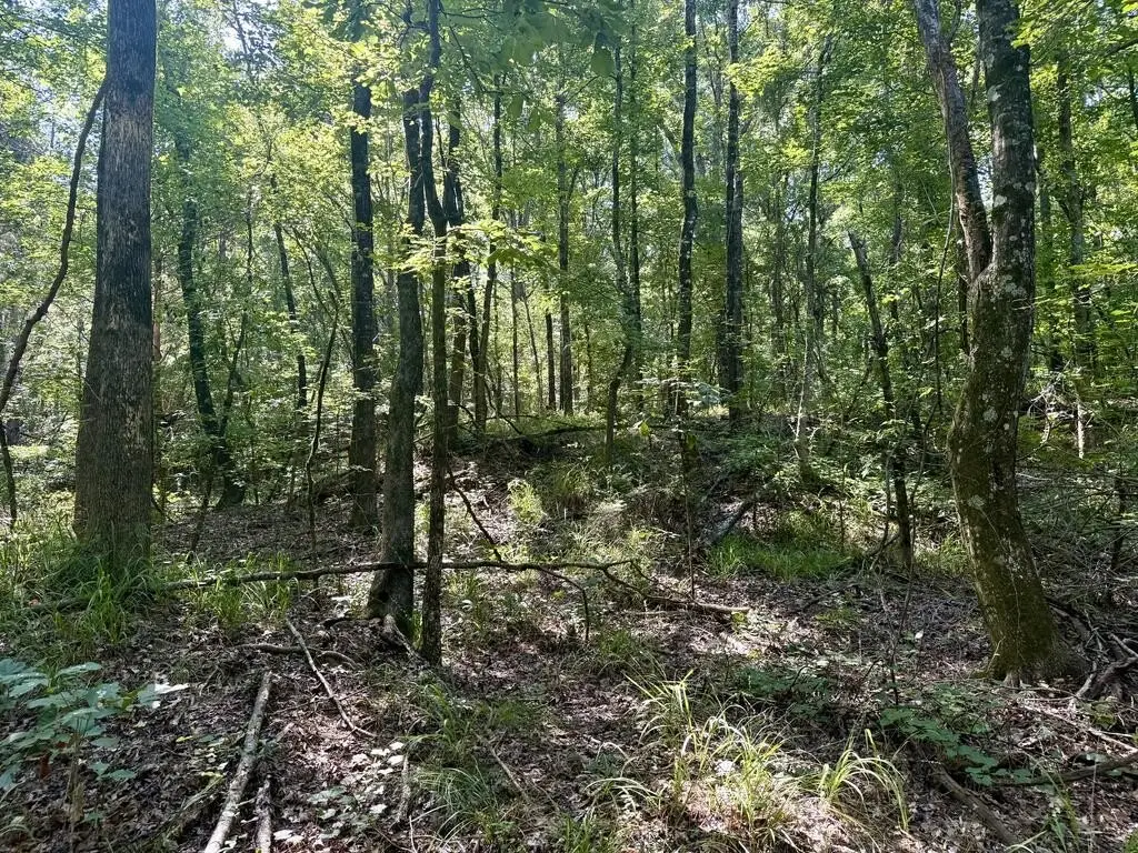 Picture 23