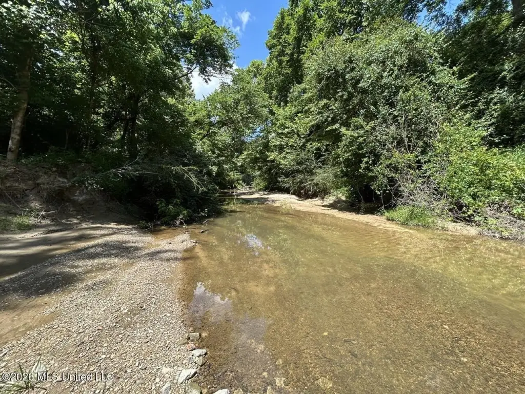 Picture 29