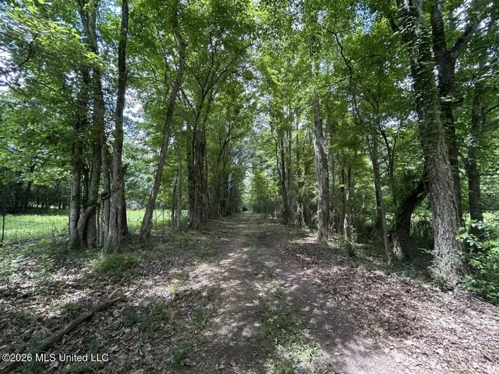 Picture 20