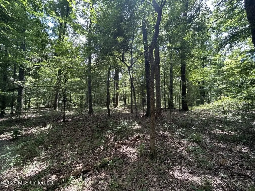 Picture 25