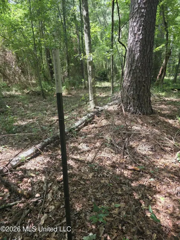 Picture 18