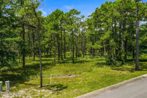 Wooded Homesite in Gated Community