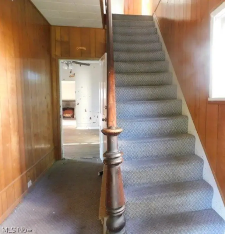 Picture 7