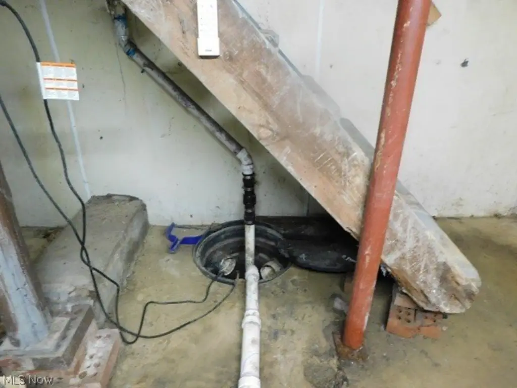 Picture 11