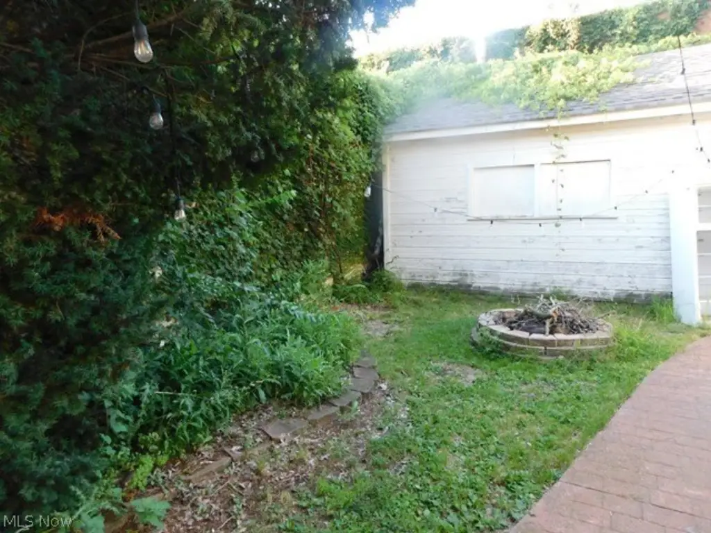 Picture 15