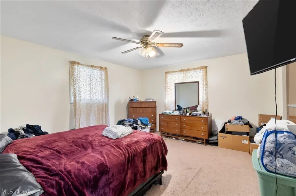 Picture 24