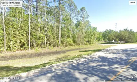 Green Cove Springs Timbered Acreage