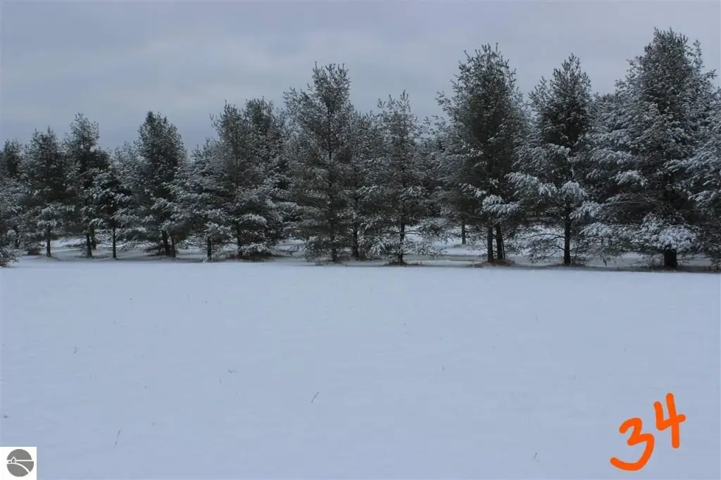 Picture 9