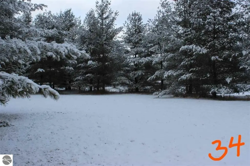 Picture 8