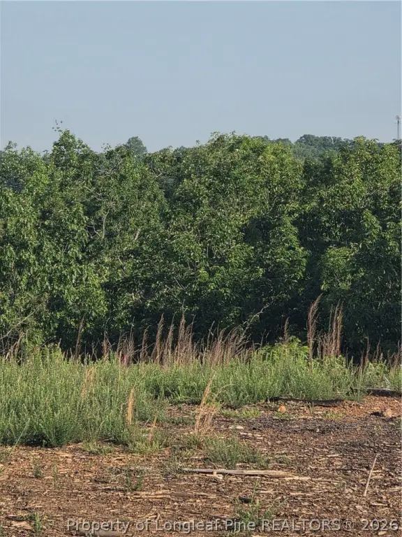 Picture 20