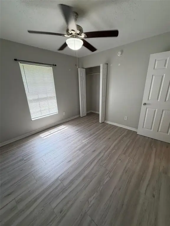 Picture 31