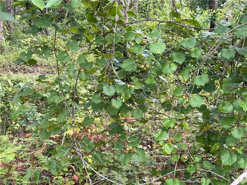 Picture 14