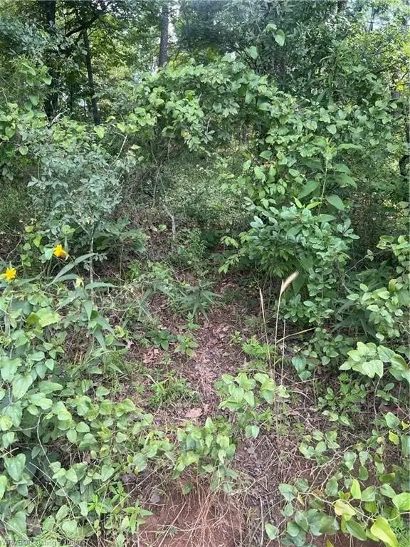 Picture 16
