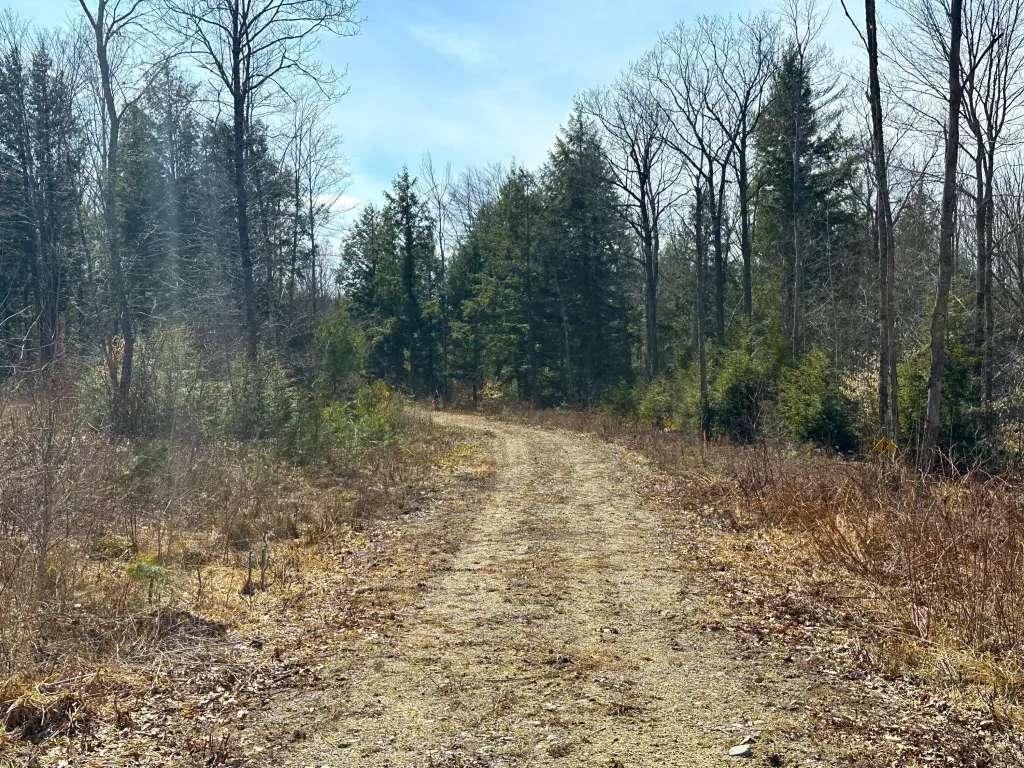 Picture 26