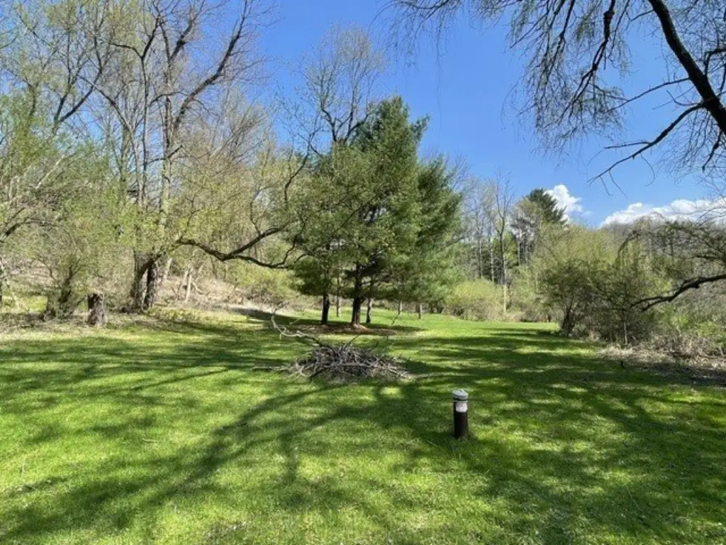 Picture 20