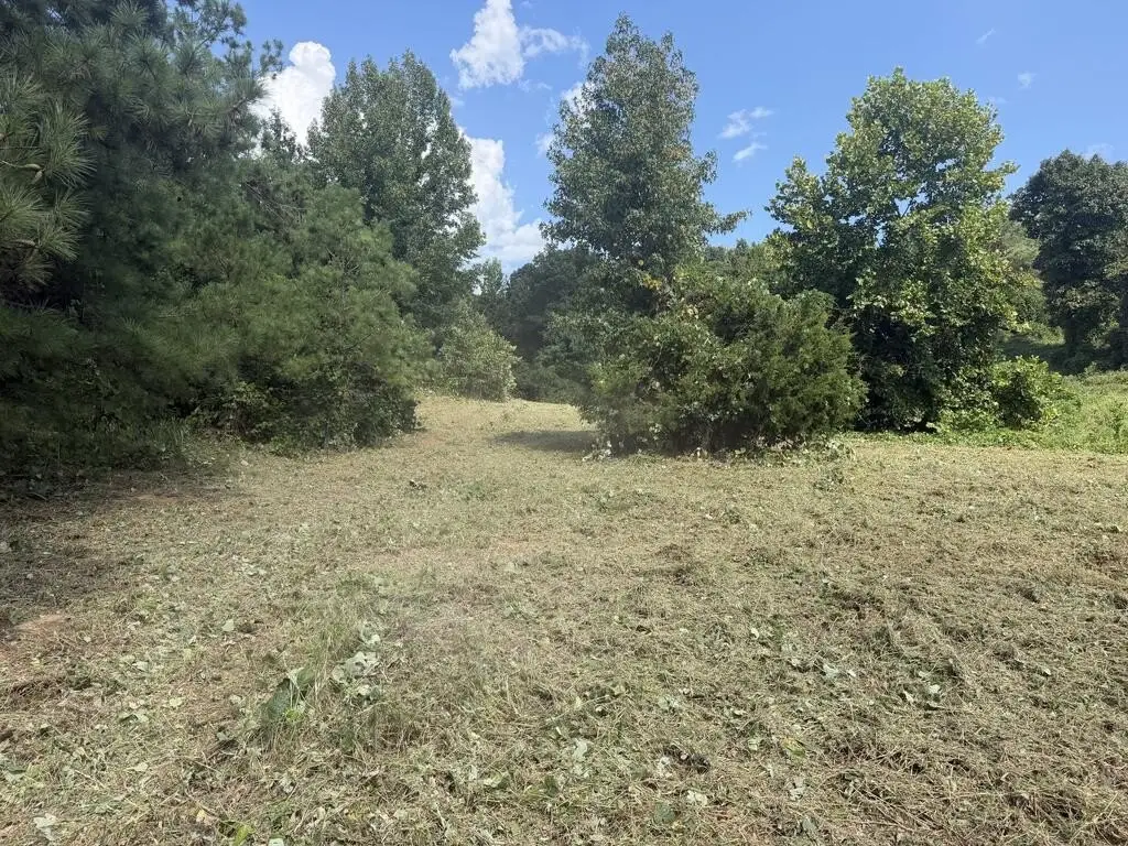 Picture 15