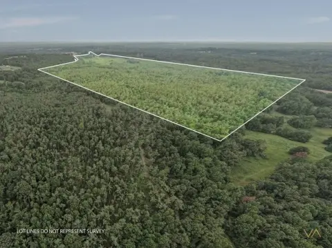 Private Hunting Land with Timber