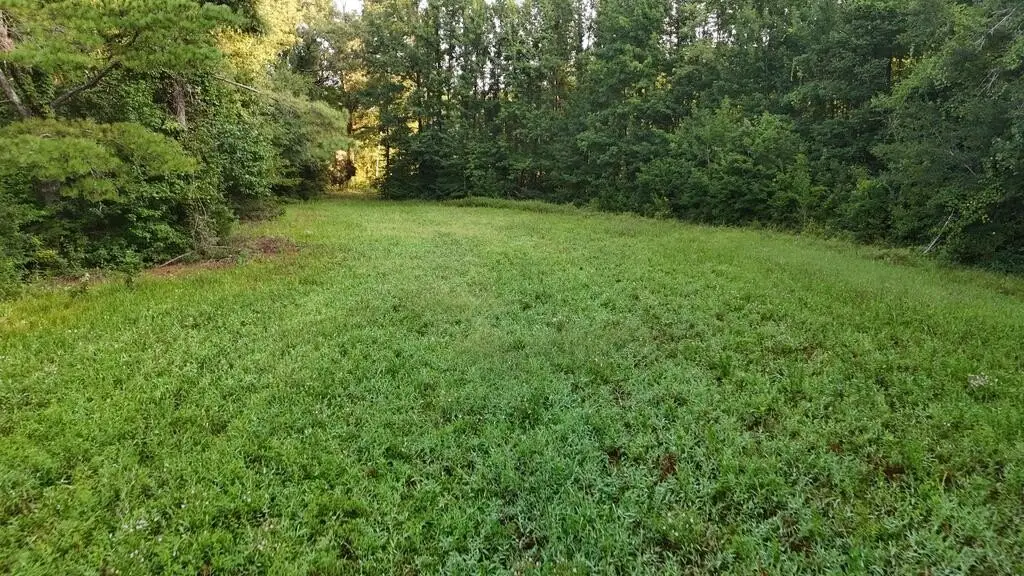 Picture 24