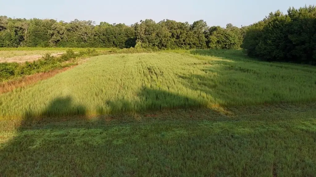 Picture 26