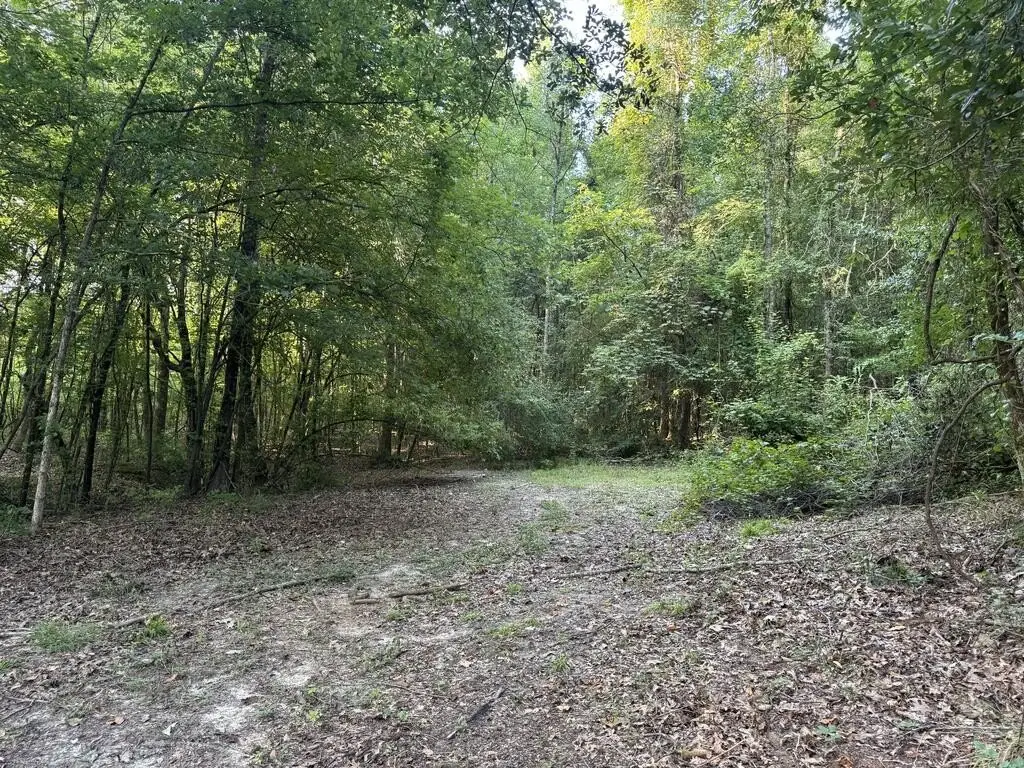 Picture 14