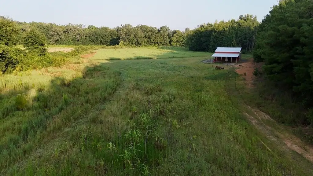 Picture 31