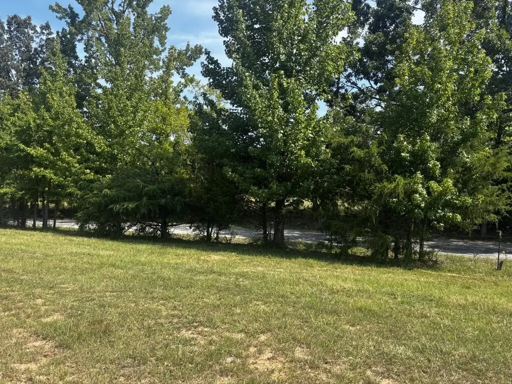 Picture 33
