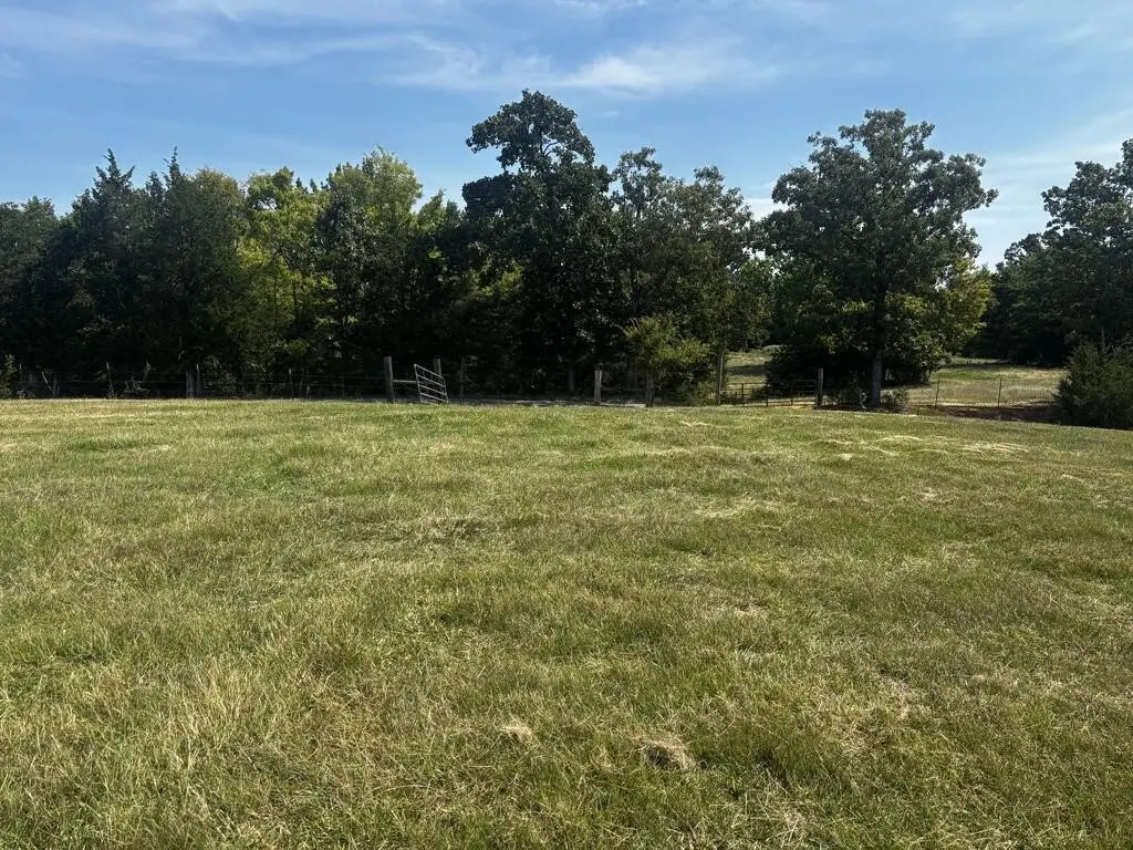 Picture 25