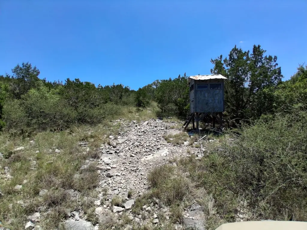 Picture 23
