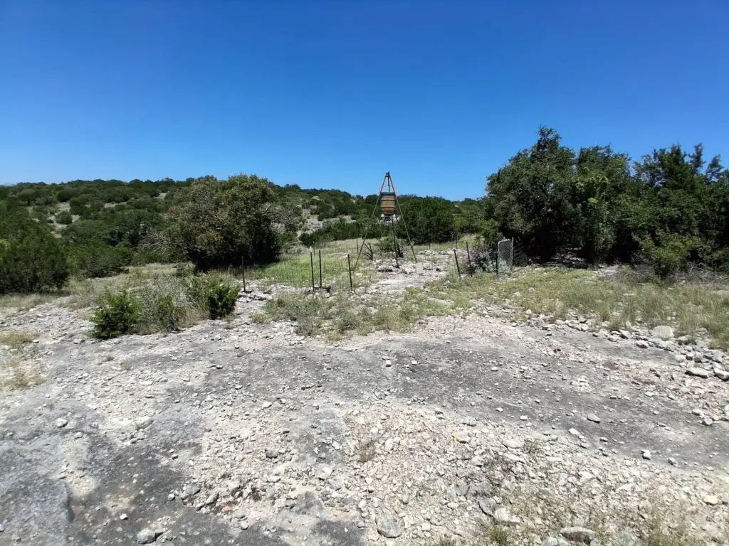 Picture 21