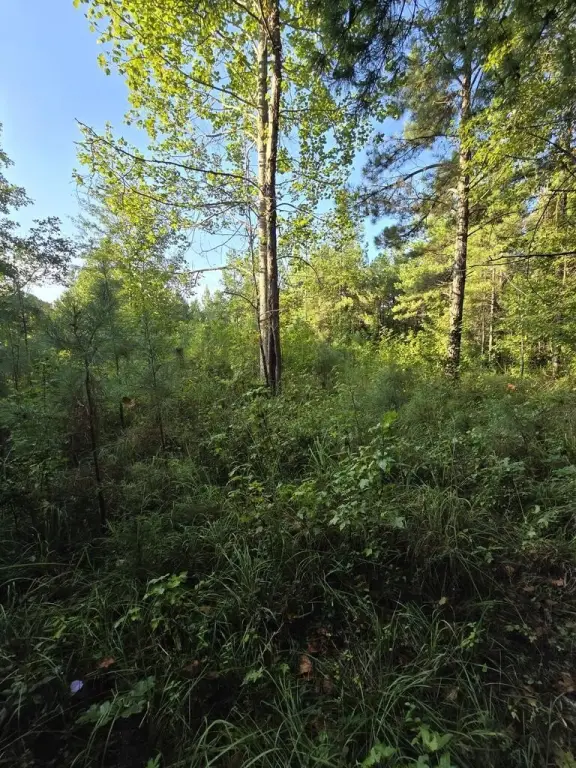Picture 6