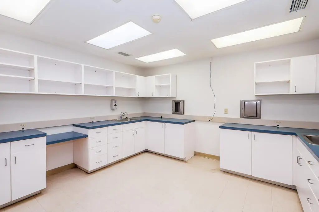 Picture 15