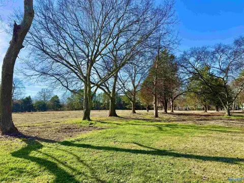 Hartselle Acreage: Development Opportunity
