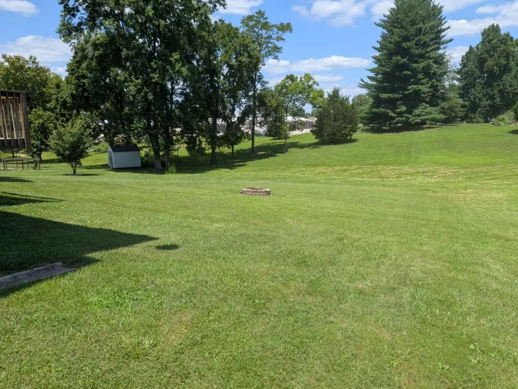 Picture 13