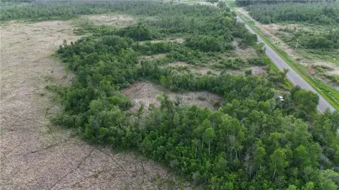 38.69 Acres Hunting Land