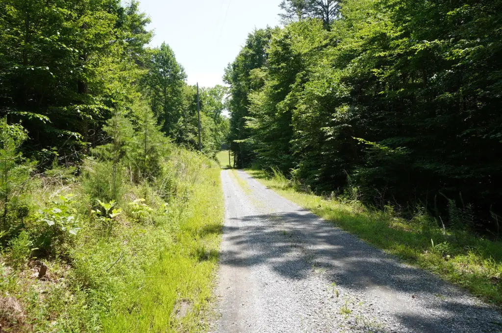 Picture 15