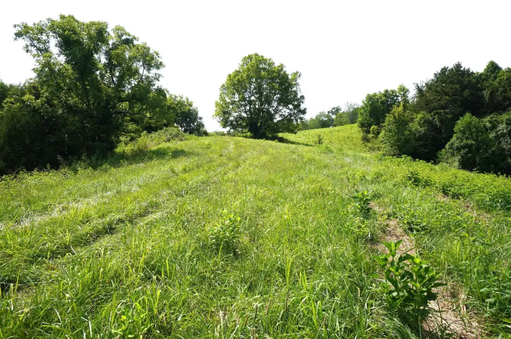 Picture 14