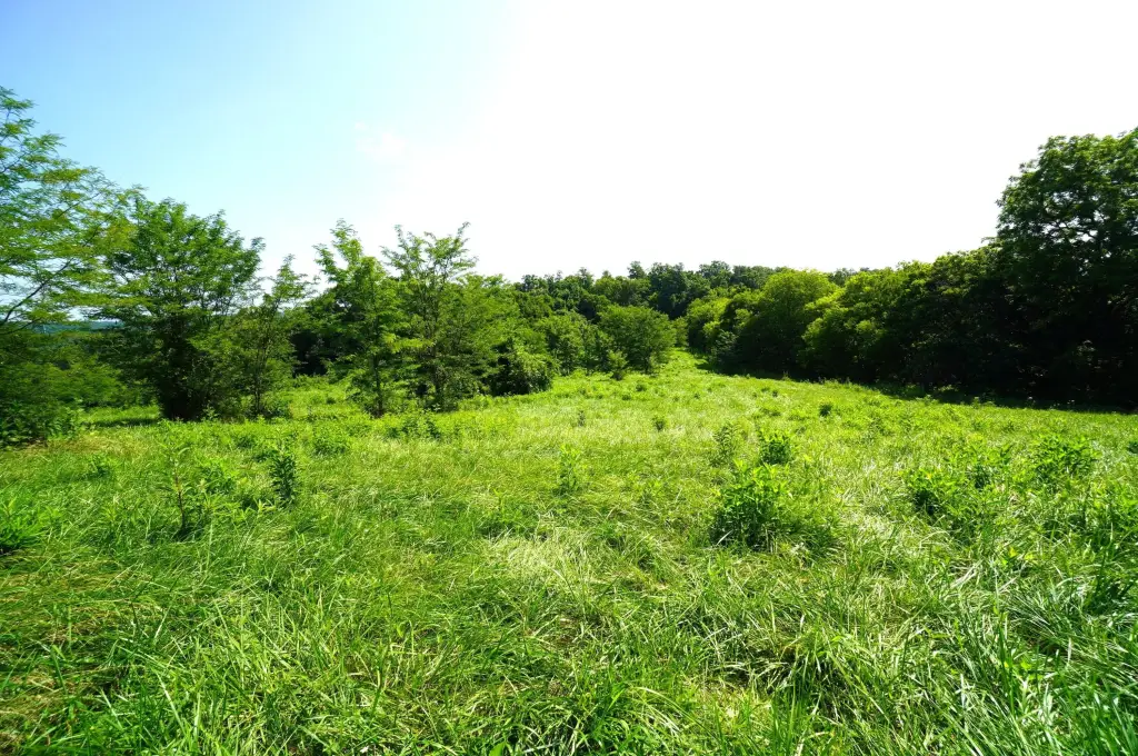 Picture 7