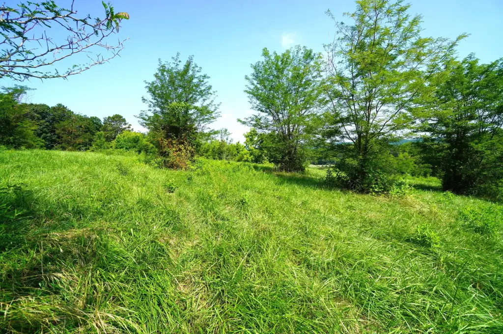 Picture 8