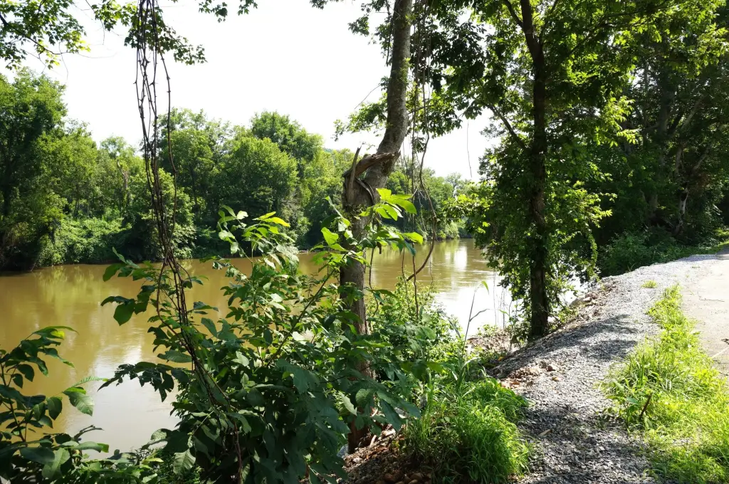Picture 23
