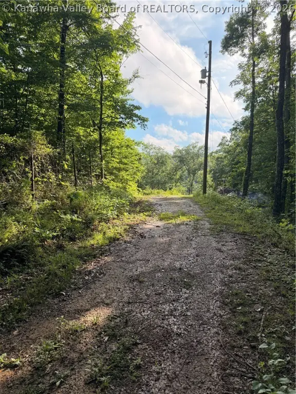 Picture 16
