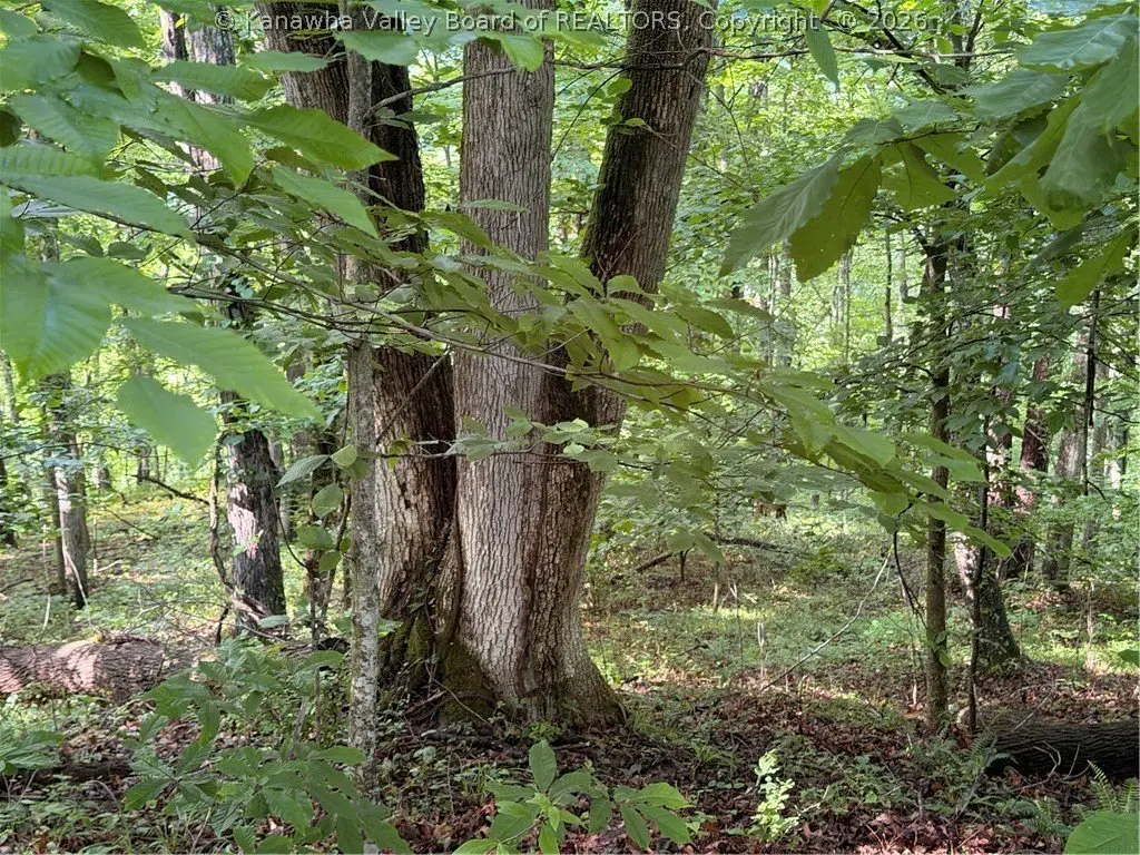 Picture 8