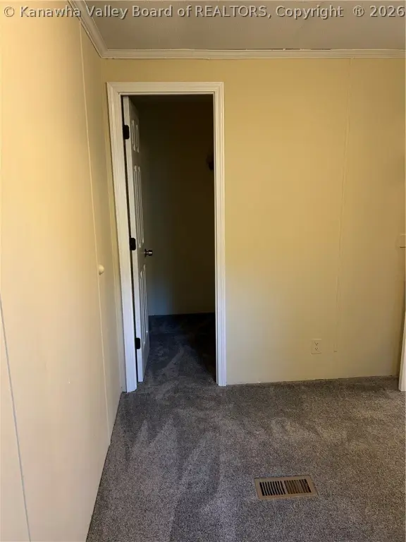 Picture 41